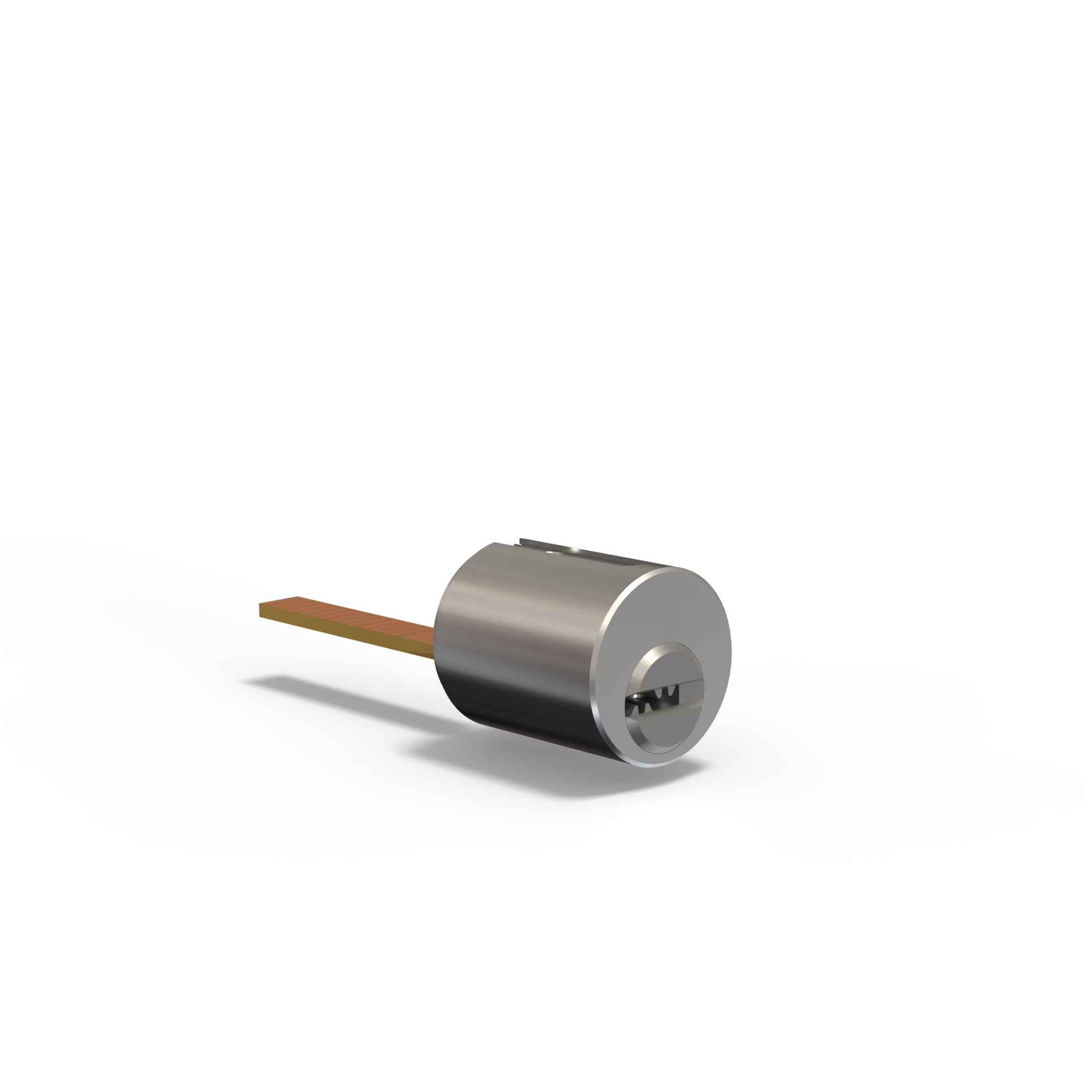CASTOR_Internal_back