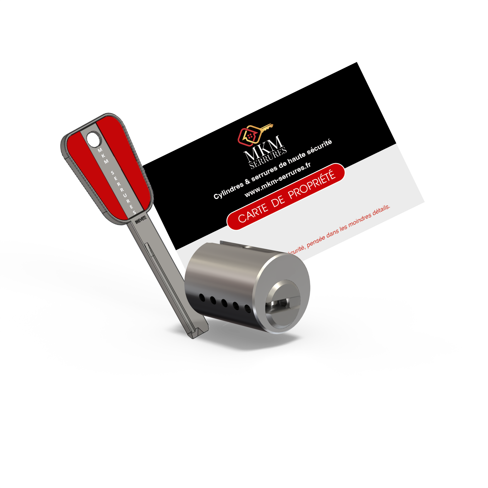 Cylindre pour verrou Vortex pour verrou ou serrure vachette livree avec 3 clés protégées et réversibles plus carte de propriété