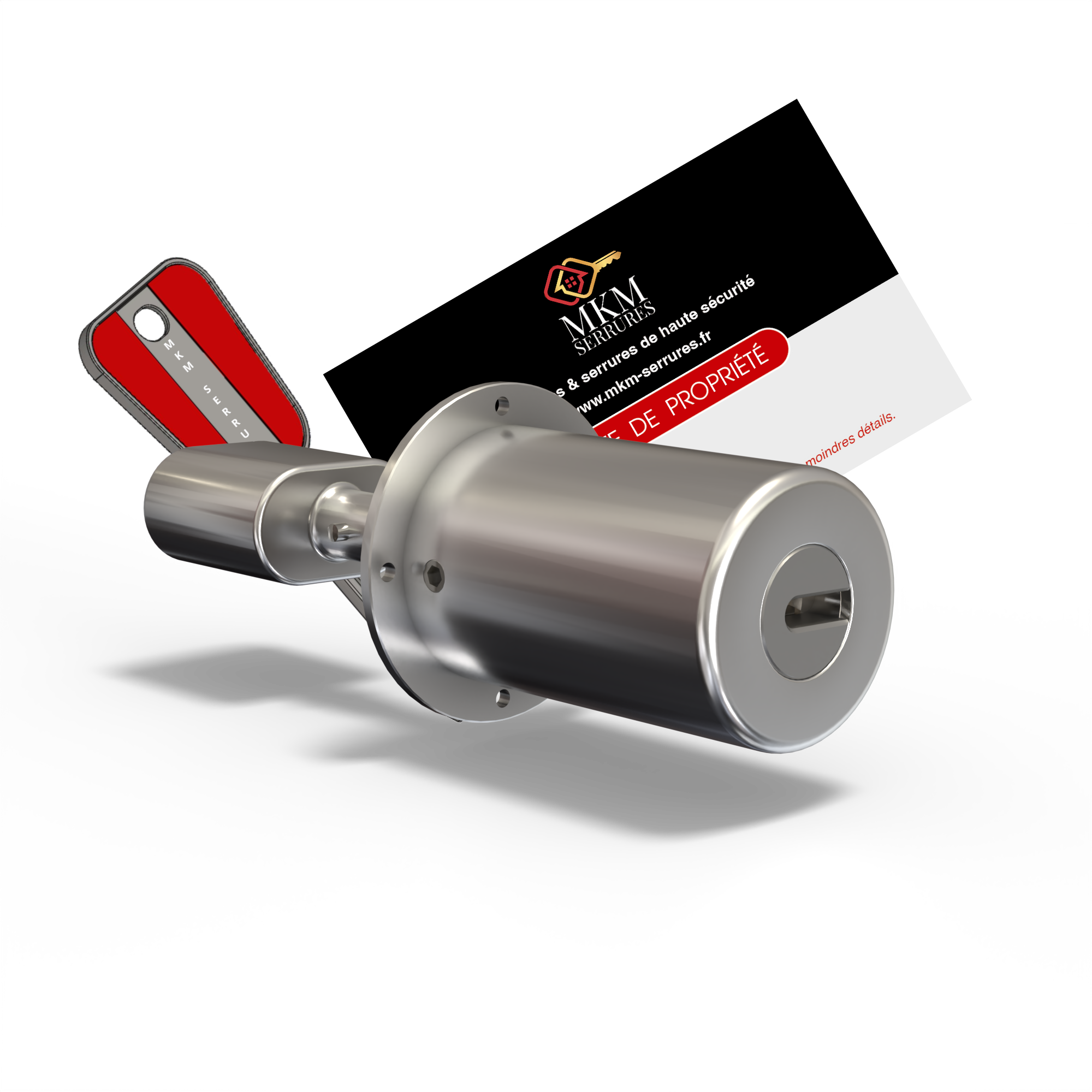 jeu de cylindre mistral adaptable pour serrure Mottura 630 plus 3 clés protégées et réversibles plus carte de propriété