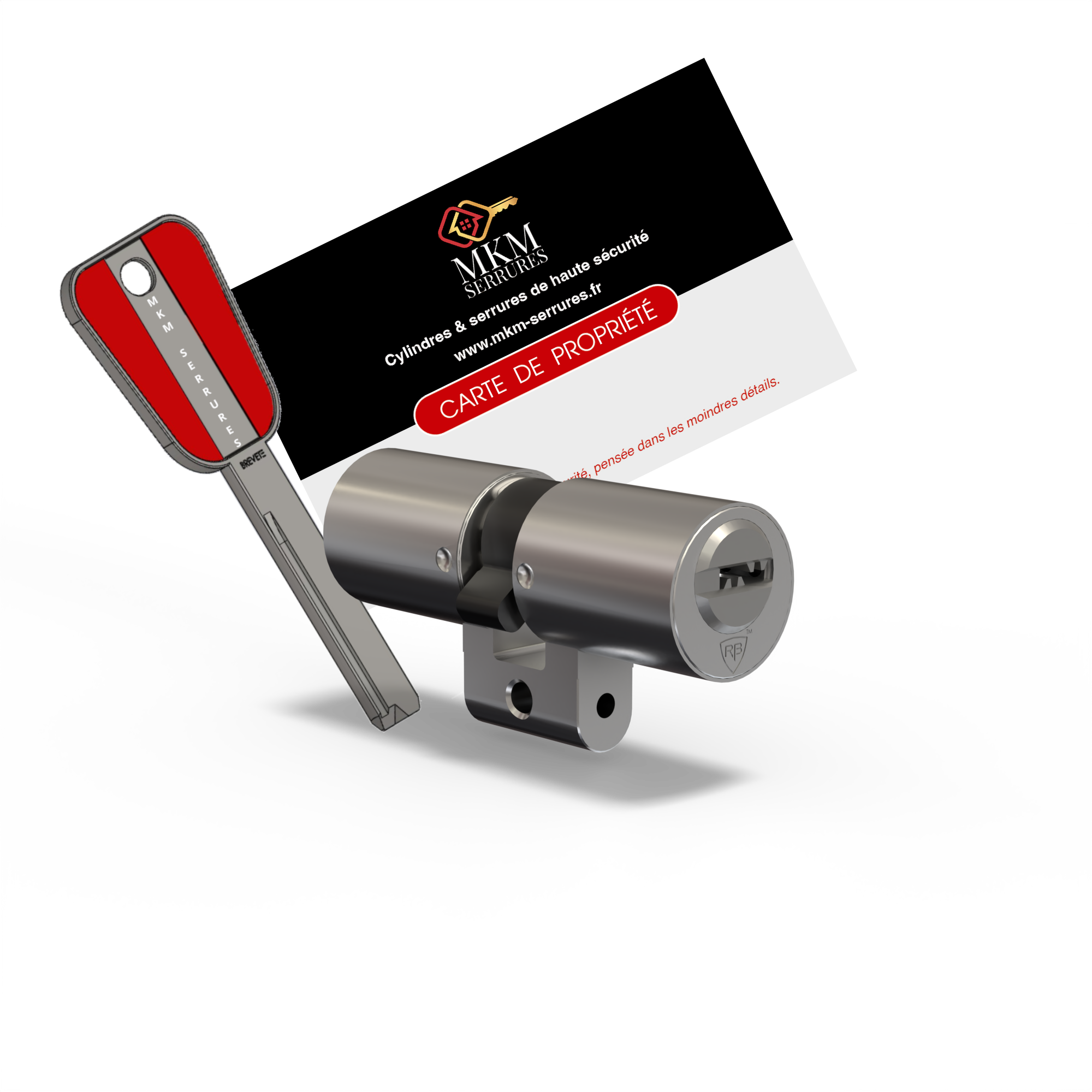 Le cylindre Sphinx pour adaptation du cylindre a profil Suisse livrée avec 3 clés protégées et réversibles plus carte de propriété