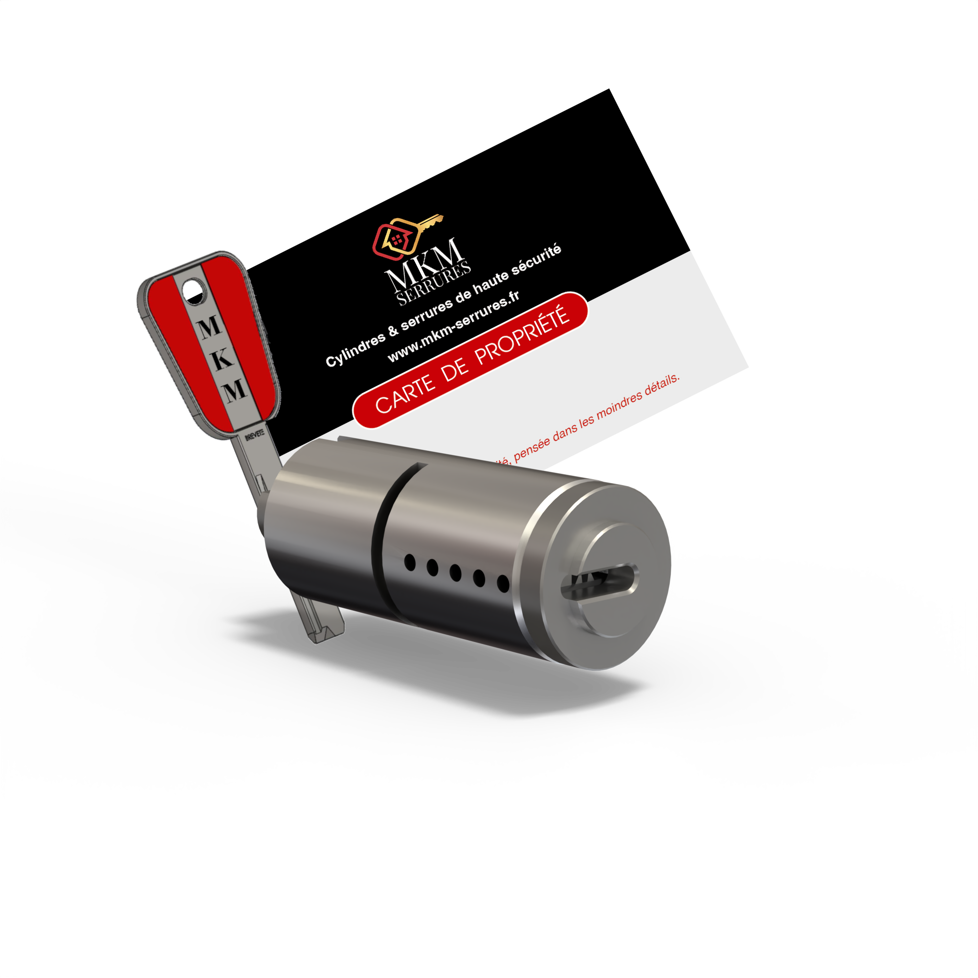 cylindre-blason-pour-serrure-bricard-3-points-exterieur-cle-carte-de-propriete