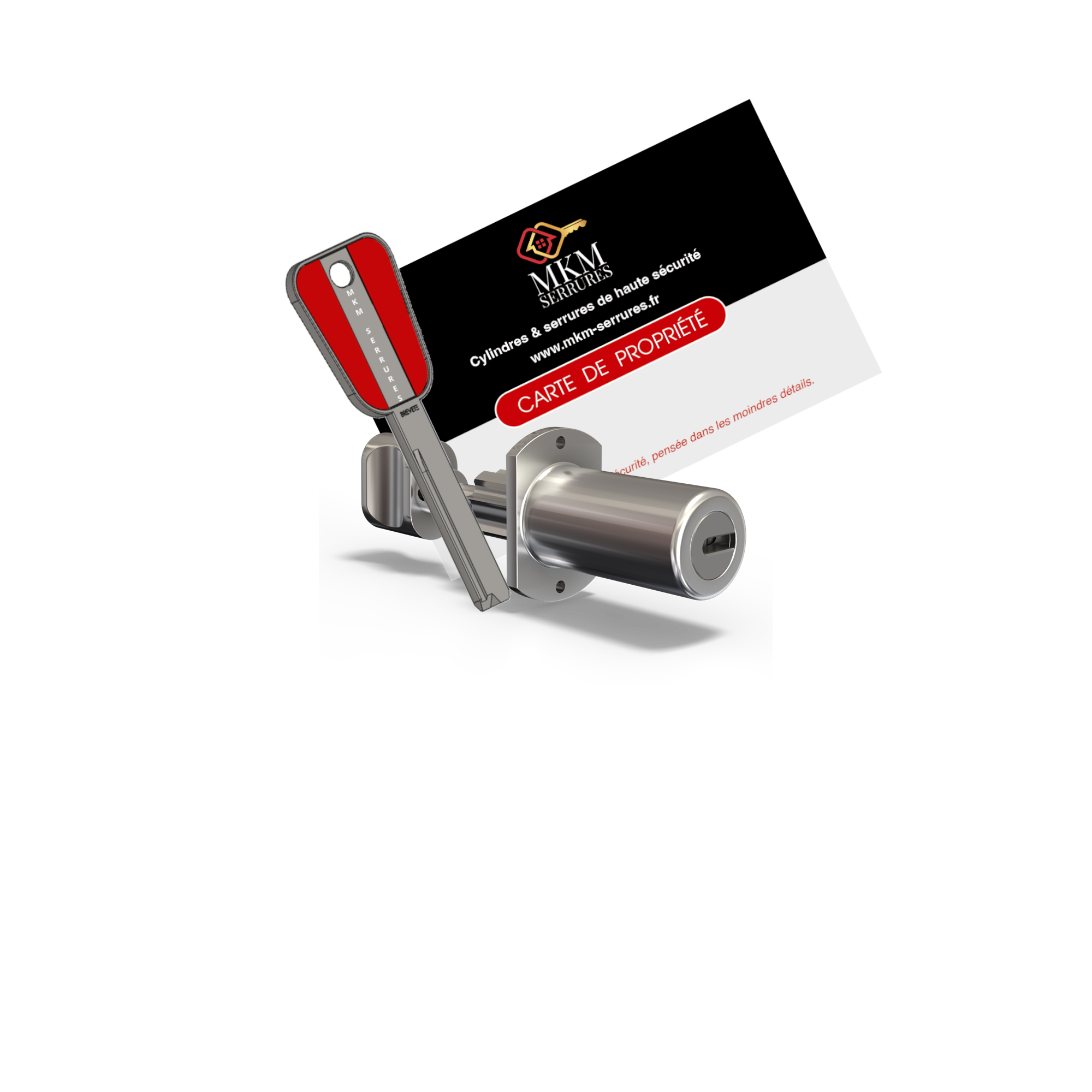 Jeu de cylindre Prisma MKM serrures pour serrure Picard livrée avec 3 clés protégées plus carte de propriété