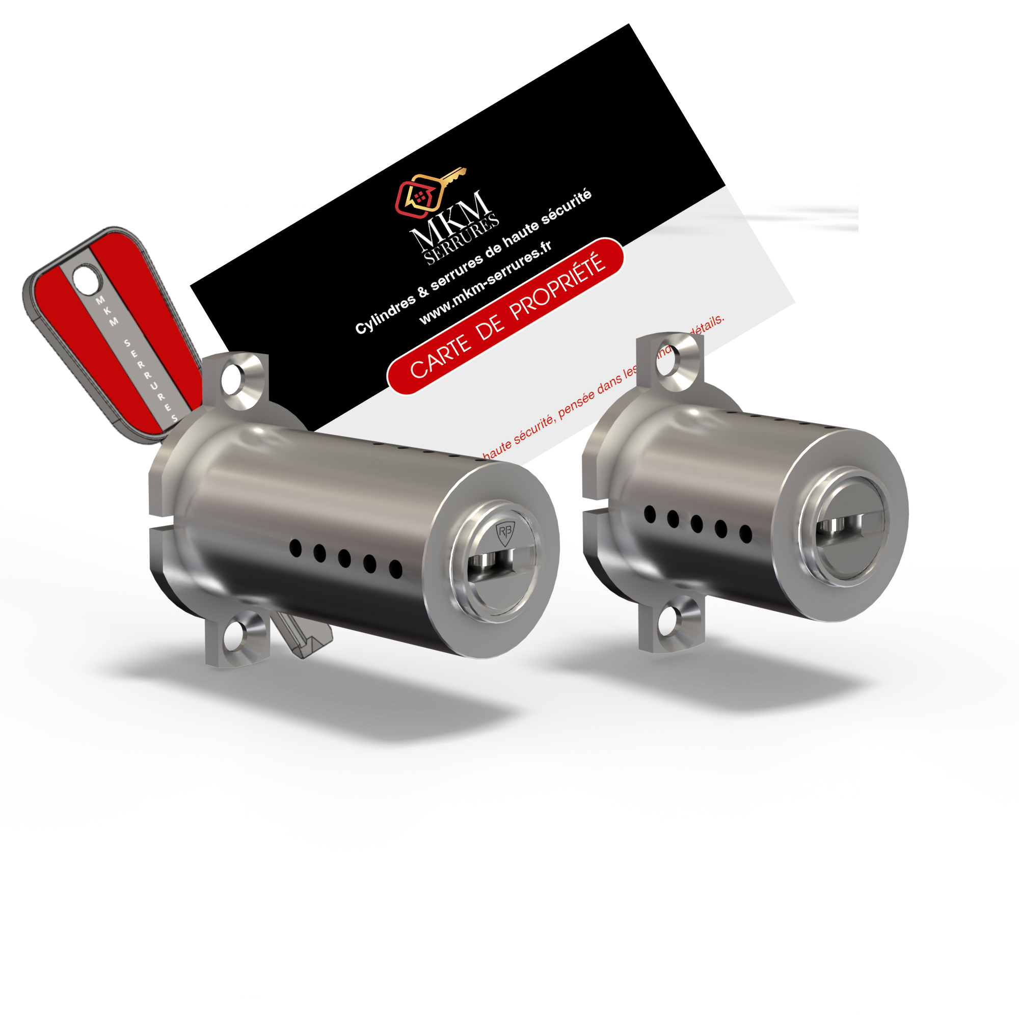 Jeu de cylindre Fulgur MKM SERRURES  adaptable pour cylindre Fichet 2D ou 787Z carte plus clés