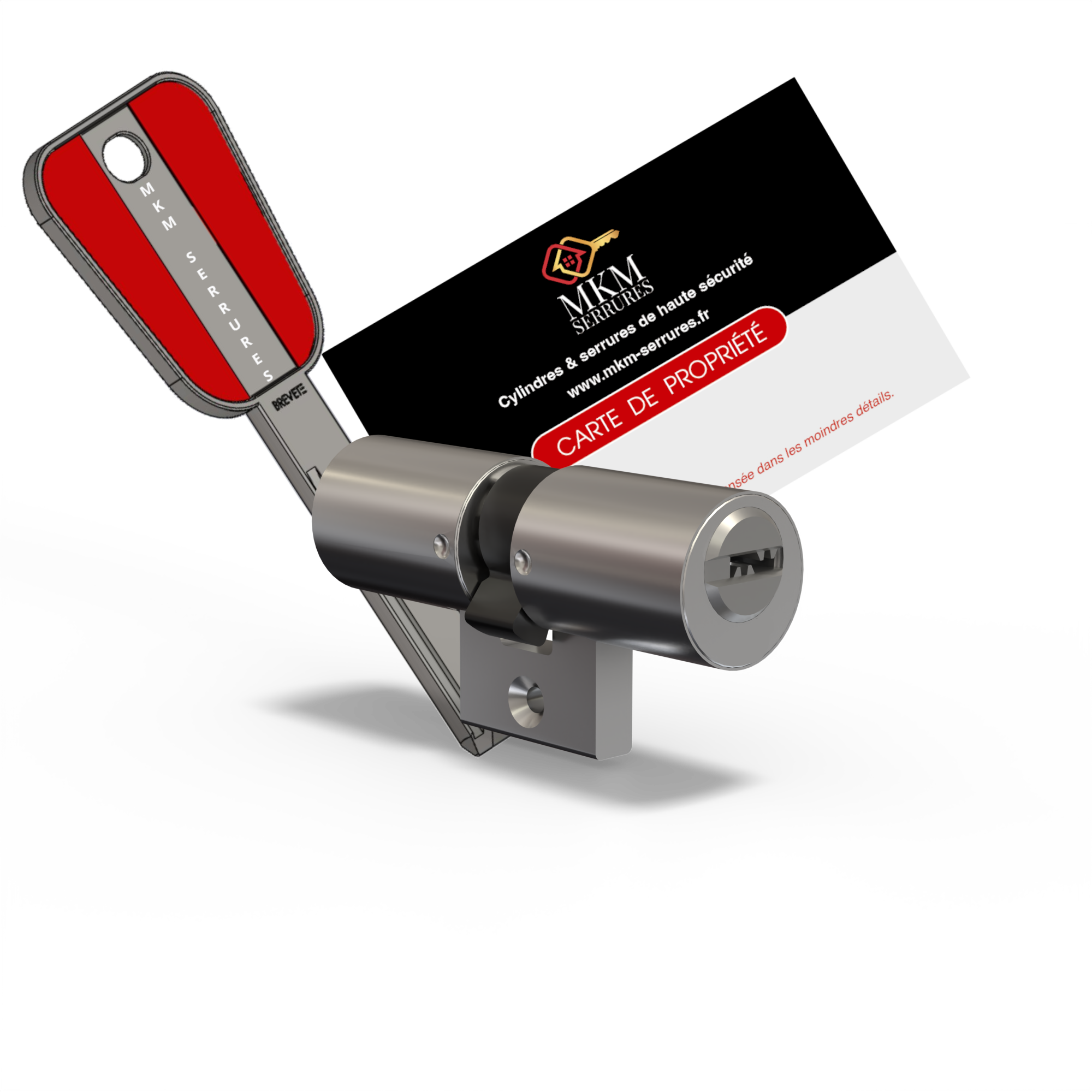 cylindre adaptable bloc tout Bricard